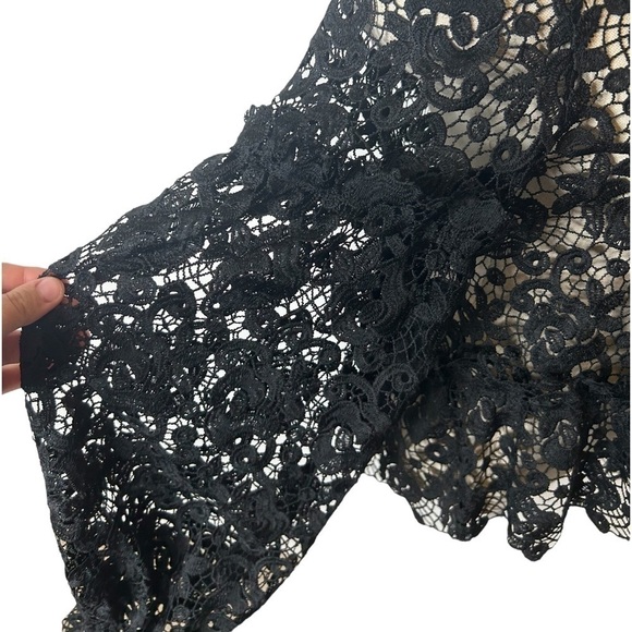 H&M Black Embroidered Lace Ruffle Long Balloon Sleeve Sheer Blouse Women Size 6 - Picture 13 of 16